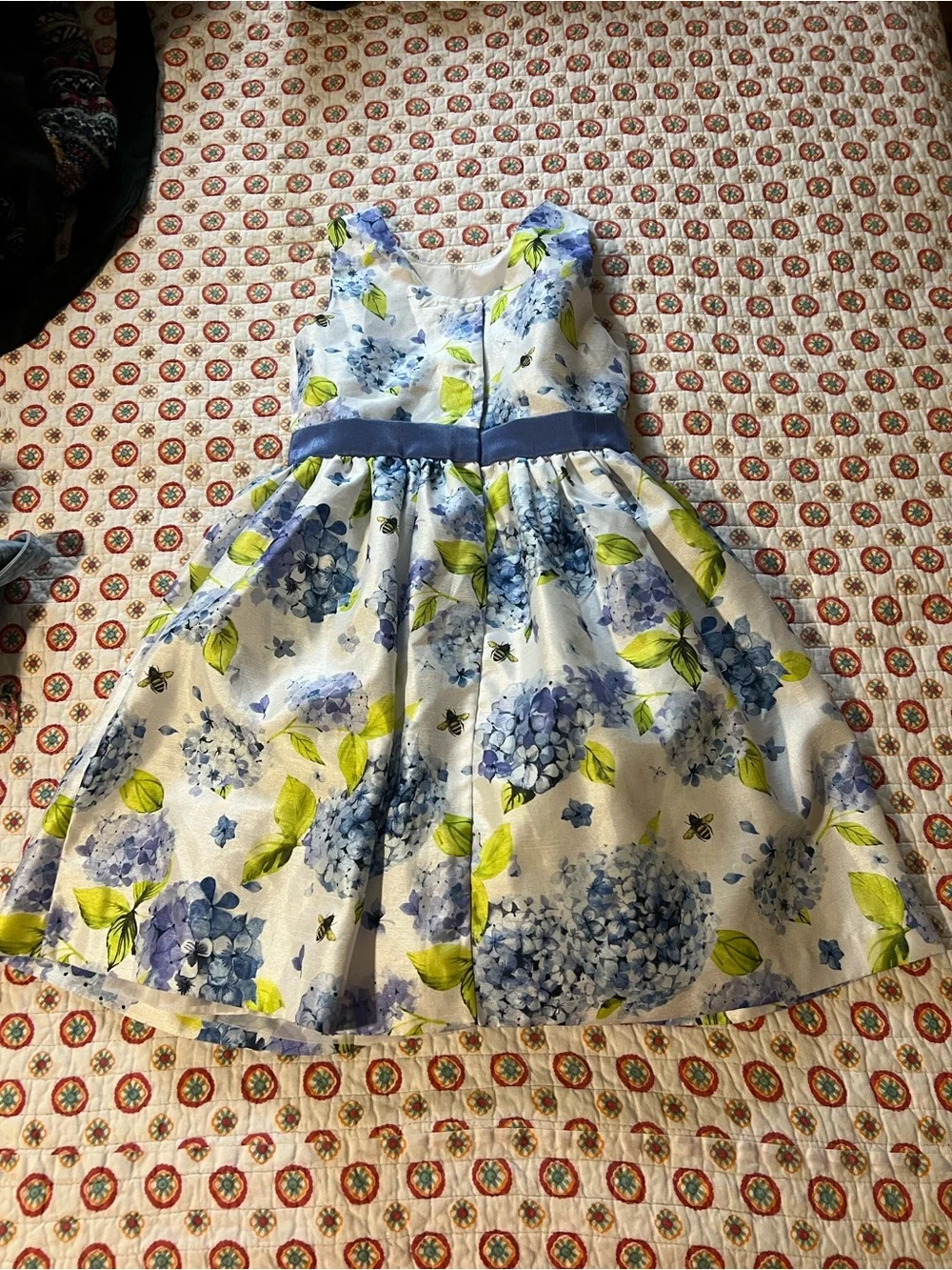 EUC Gymboree Hydrangea Dress size 10